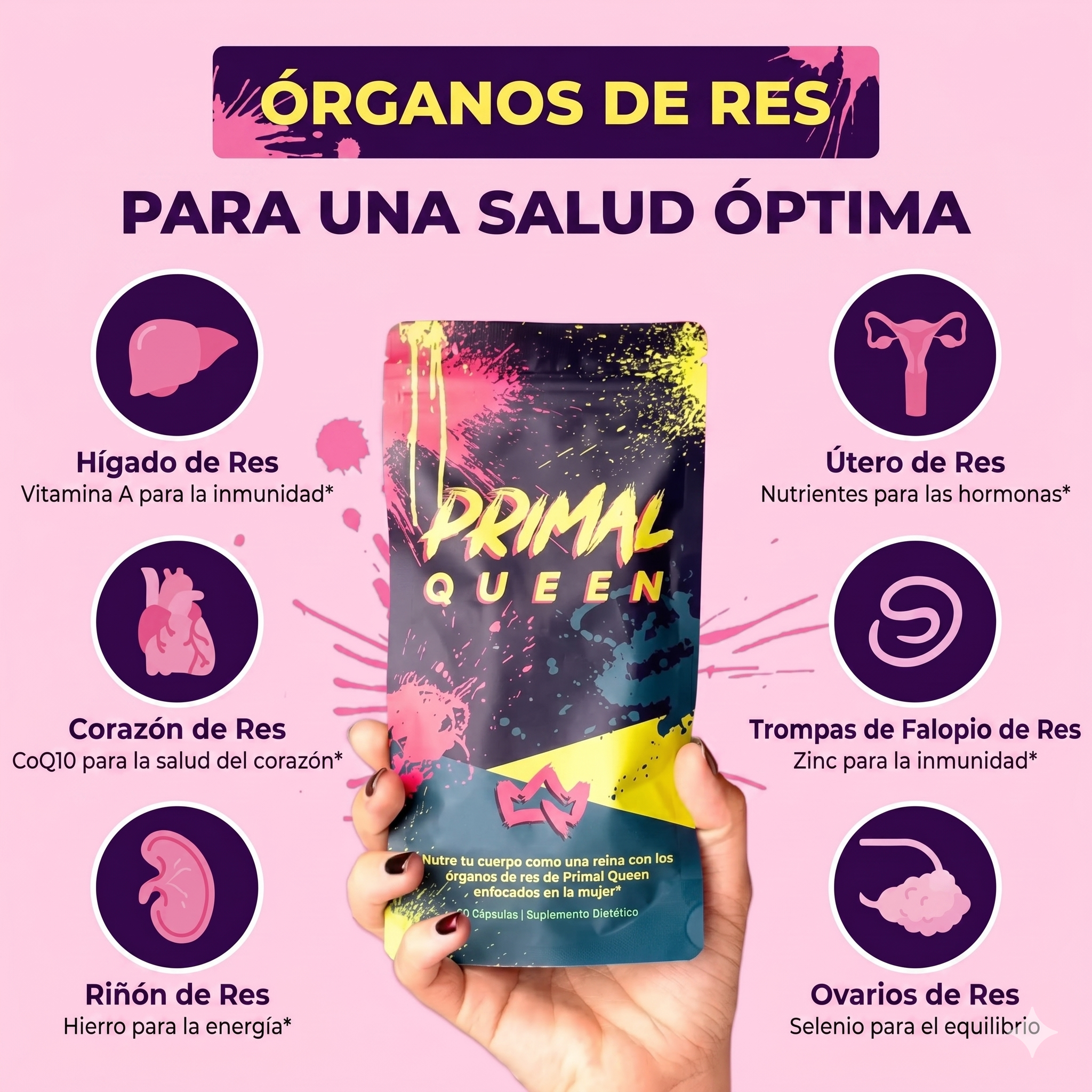 SUPLEMENTO PARA MUJERES GUERRERAS